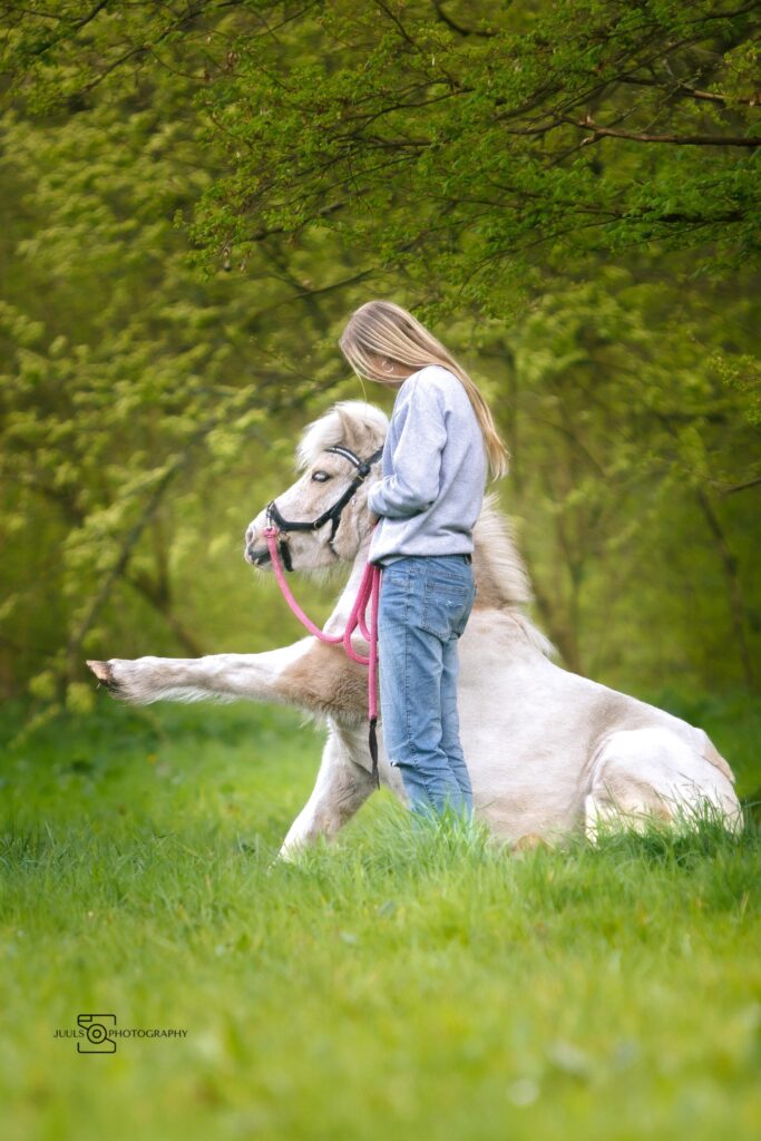 Fotoshoot met paard in grasveld door Juuls Photography